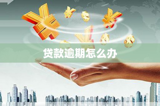 土城贷款逾期怎么办