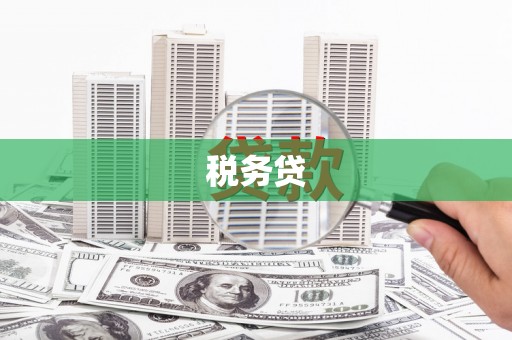 土城税务贷