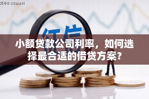 土城小额贷款公司利率，如何选择最合适的借贷方案？