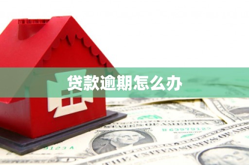 土城贷款逾期怎么办
