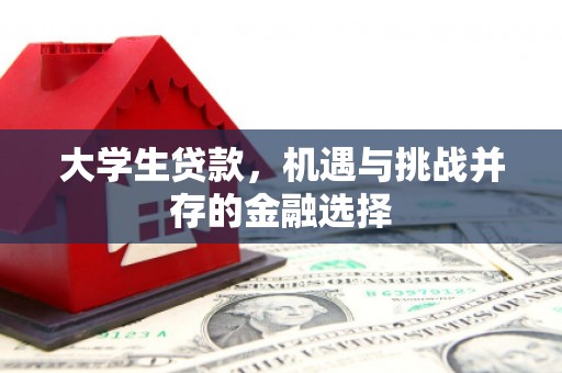 土城大学生贷款，机遇与挑战并存的金融选择