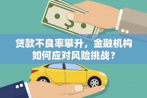 土城贷款不良率攀升，金融机构如何应对风险挑战？