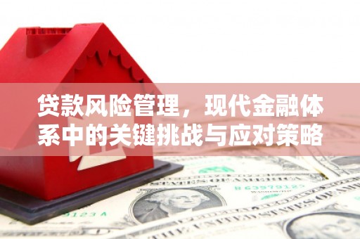 土城贷款风险管理，现代金融体系中的关键挑战与应对策略