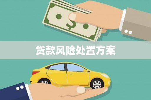土城贷款风险处置方案