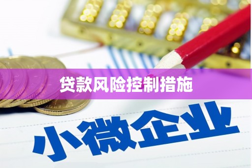 土城贷款风险控制措施